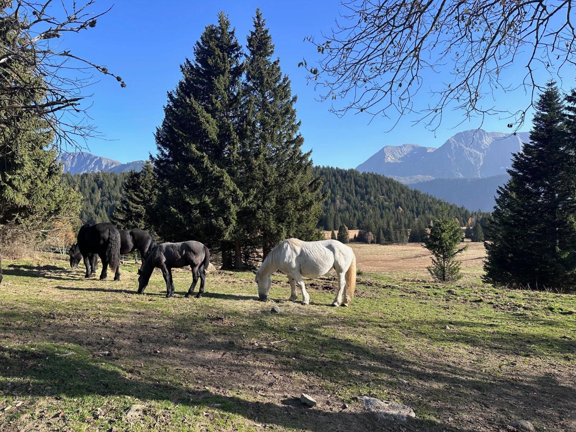 Au Bachat-Bouloud, Appartement 3 Pieces 6 Personnes Avec Balcon Plein Sud Chamrousse Luaran gambar